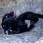 flash slide show 027