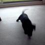 speedy