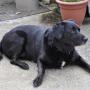toby pose 09092014