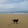 toby beach 12042012