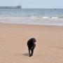 toby beach 15072015