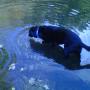 toby river 250911