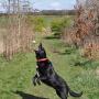 0a toby leap