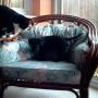 thats my chair