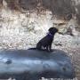 seaham rock