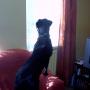 flash slide show 009